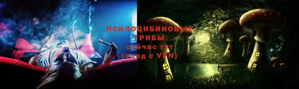 МДПВ Алзамай