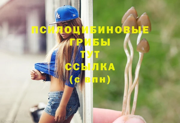 первитин Осинники