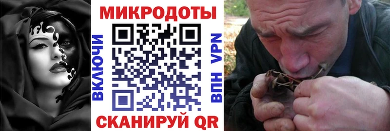 закладка  дарк нет Telegram  Псилоцибиновые грибы Magic Shrooms  Макушино 