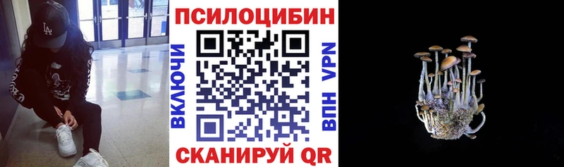 Псилоцибиновые грибы ЛСД Макушино